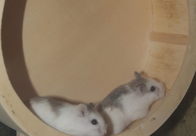 Il Potere di una Pausa: Perché Fermarsi è il Nuovo Andare Avanti