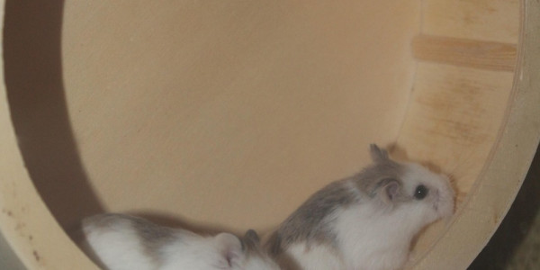 Il Potere di una Pausa: Perché Fermarsi è il Nuovo Andare Avanti Il Potere di una Pausa: Perché Fermarsi è il Nuovo Andare Avanti