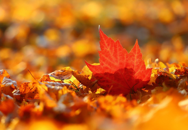 Non È Troppo Tardi: Liberarsi dalla Trappola del "Avrei Dovuto"